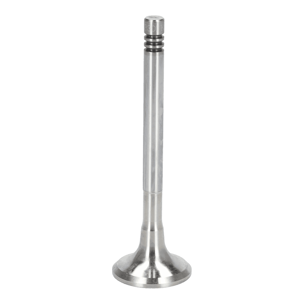 Exhaust Valve
