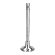 Exhaust Valve