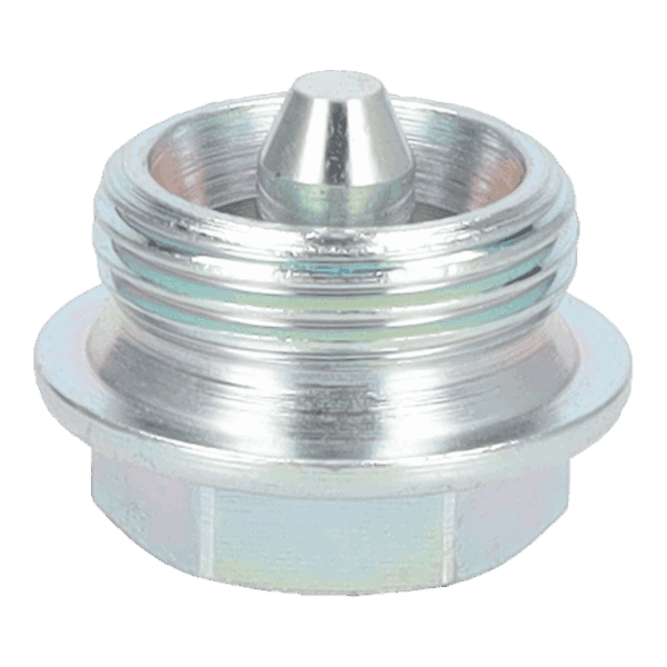 Drain Plug - M22