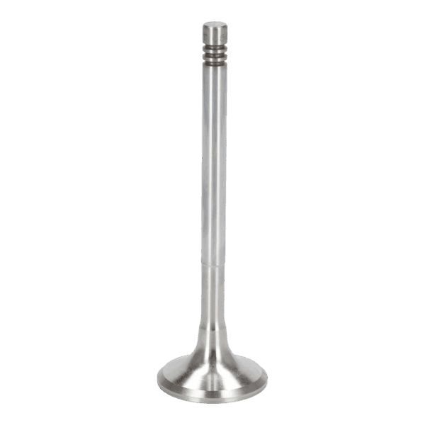 Exhaust Valve