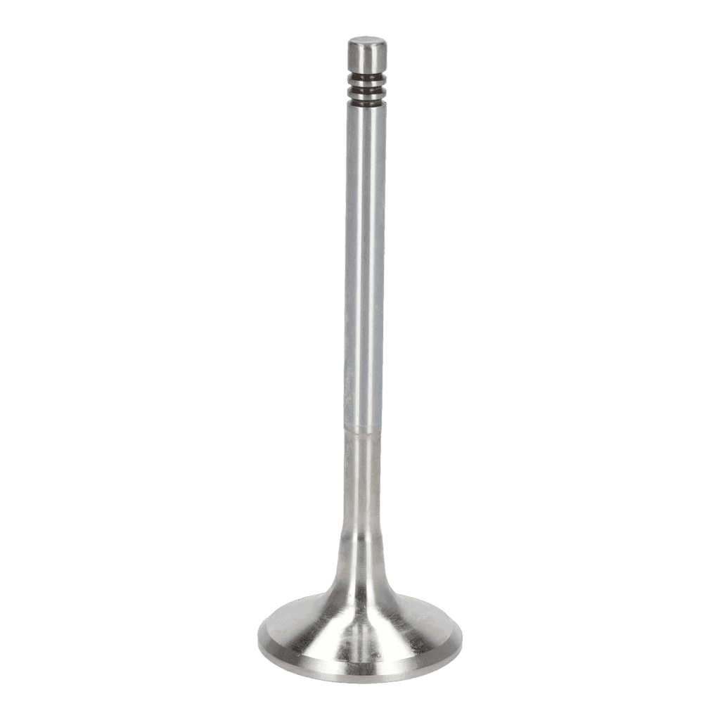 Exhaust Valve